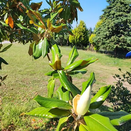 Olympus Mytikas Apartment