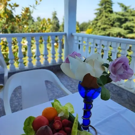 Апартаменты Olympus Mytikas