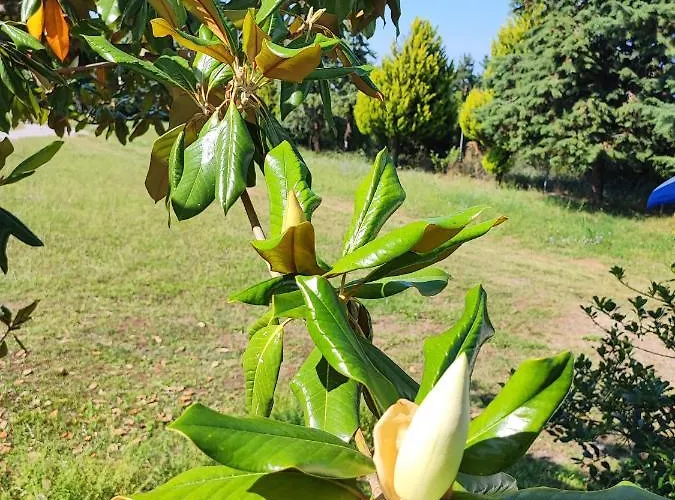 Olympus Mytikas Appartement